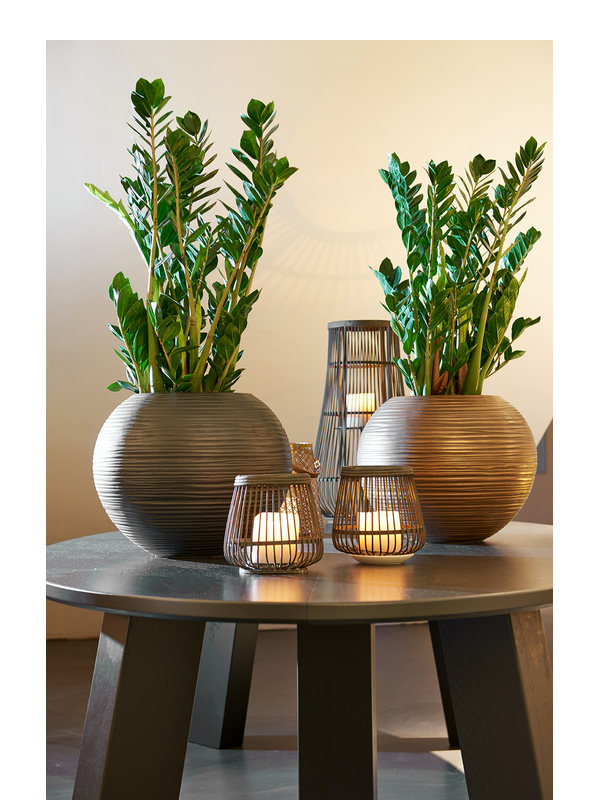 
                  
                    Pot Curved round Bowl
                  
                