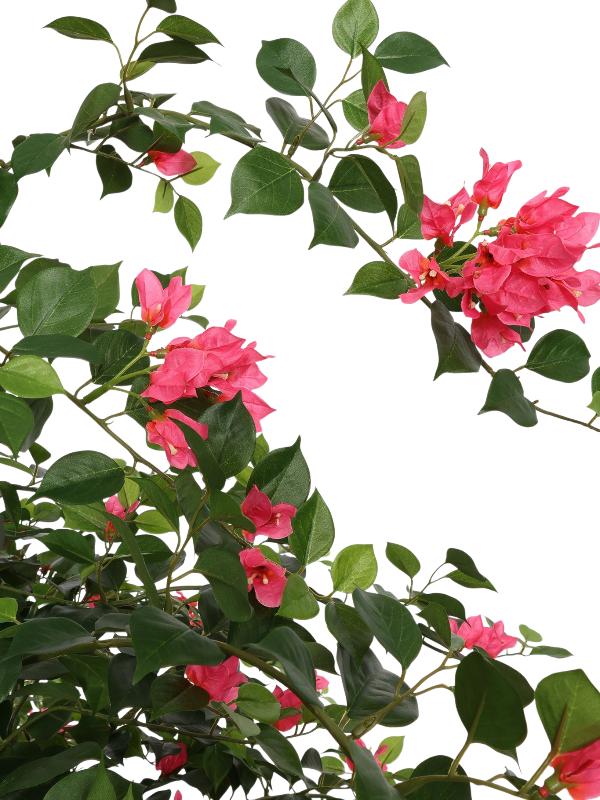 
                  
                    Bougainvillea arbre artificiel
                  
                