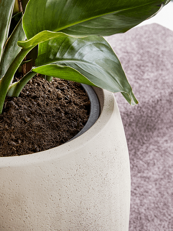 
                  
                    Pot Baq Polystone Coated Plain ( pochette )
                  
                