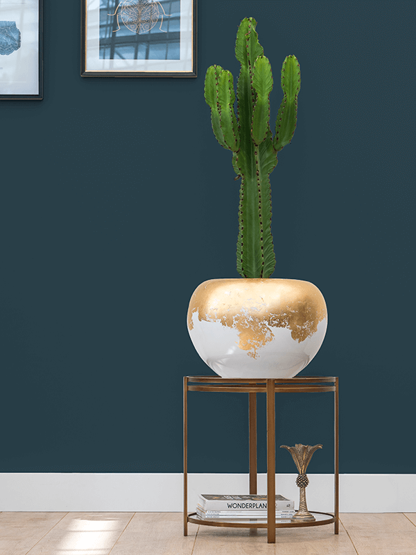 
                  
                    Pot globe Baq Luxe Lite Glossy
                  
                