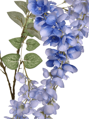 
                  
                    Branche glycine artificielle
                  
                