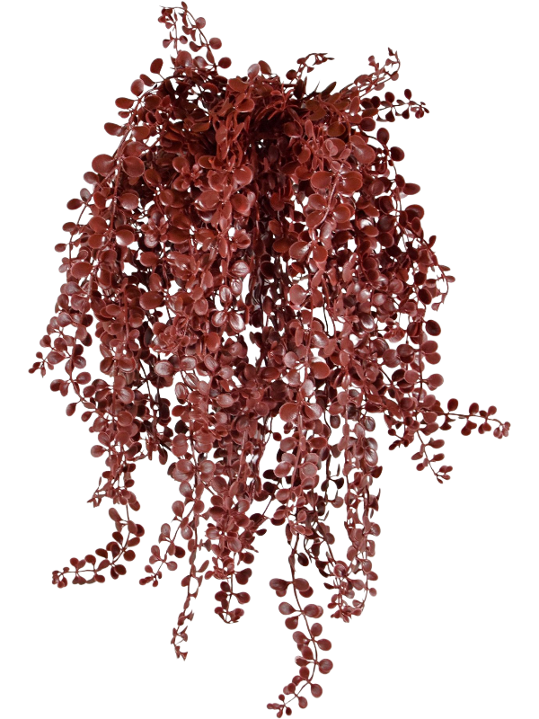 
                  
                    Dischidia Burgundy Hanging Bush UV artificiel, cascade de petites feuilles bordeaux arrondies
                  
                