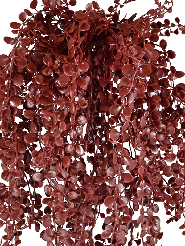 
                  
                    Détail des petites feuilles bordeaux du Dischidia Burgundy Hanging Bush UV artificiel
                  
                