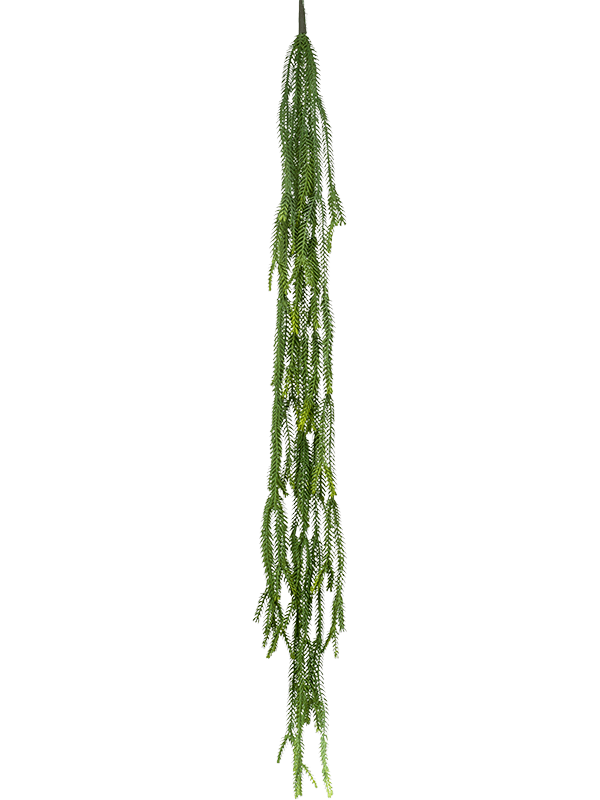 Epiphyllum (artificiel)
