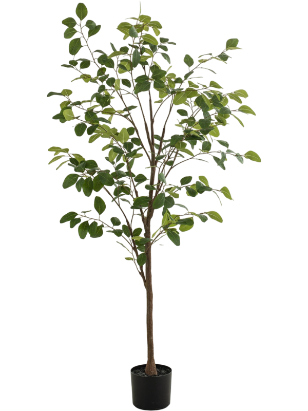 
                  
                    Eucalyptus artificiel de 170 cm, ramification ouverte à feuilles vertes et pot de base noir
                  
                