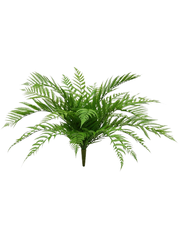 
                  
                    Fern Alsophilla artificiel UV, couronne de frondes vertes finement découpées sur une base à piquer
                  
                