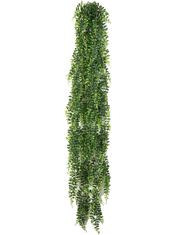 Fern Boston Hanging Busch artificiel, longue cascade dense de petites feuilles vertes