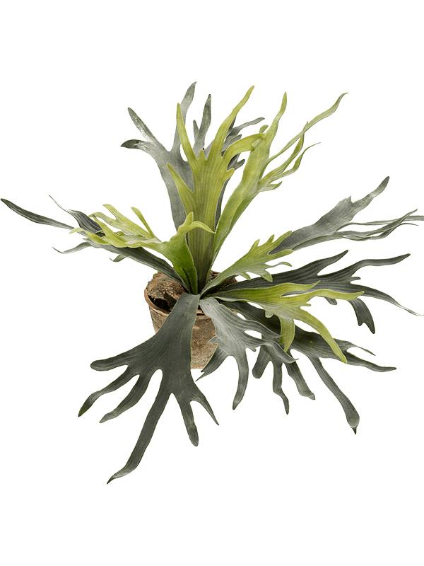 Fern Staghorn Bush artificiel, frondes découpées vert gris et vert clair avec pot décoratif