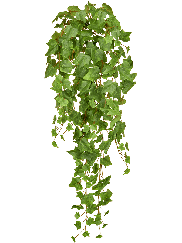 
                  
                    Feuillage de lierre artificiel retombant vert olive ignifugé FireSilx — 86 cm
                  
                