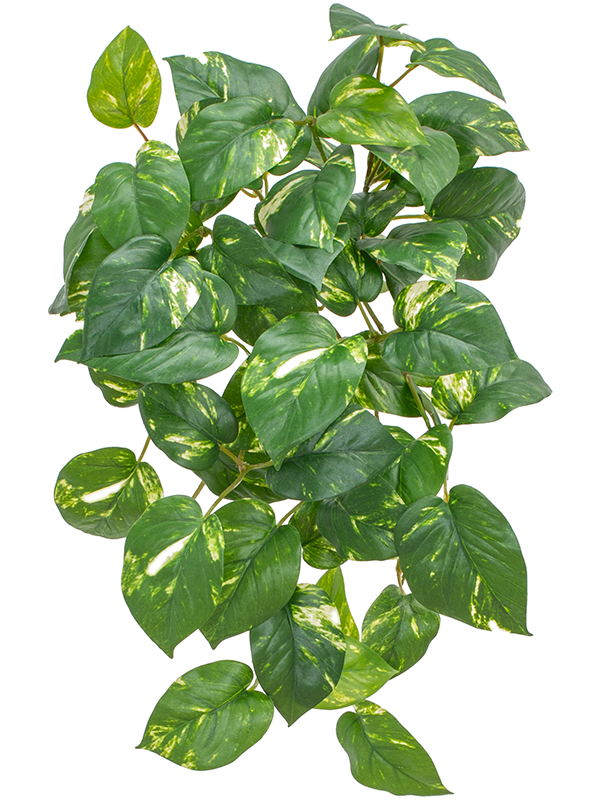 
                  
                    Feuillage de pothos artificiel panaché ignifugé FireSilx — 51 cm
                  
                