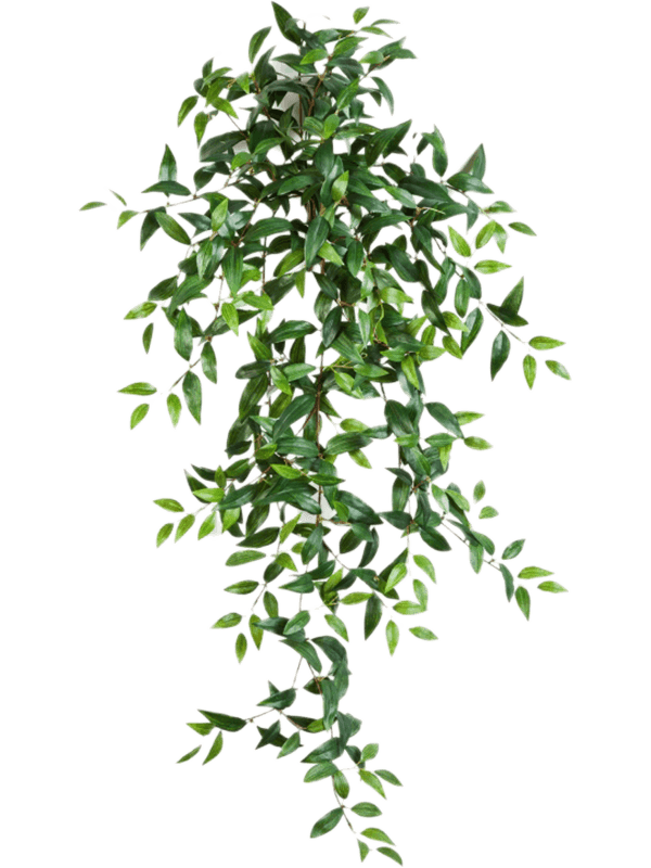 
                  
                    Feuillage de tradescantia artificiel retombant vert 105 cm
                  
                