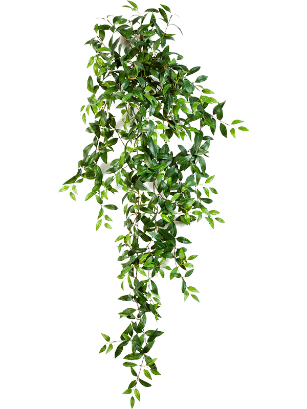 
                  
                    Feuillage de tradescantia artificiel retombant vert 125 cm
                  
                
