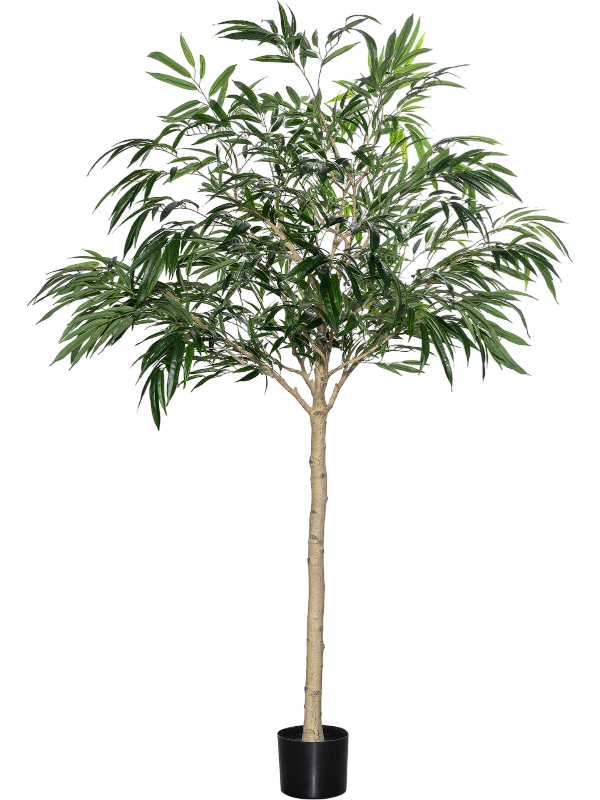 
                  
                    Ficus Alii artificiel, 230 cm, vert, référence 8PPZ10308
                  
                