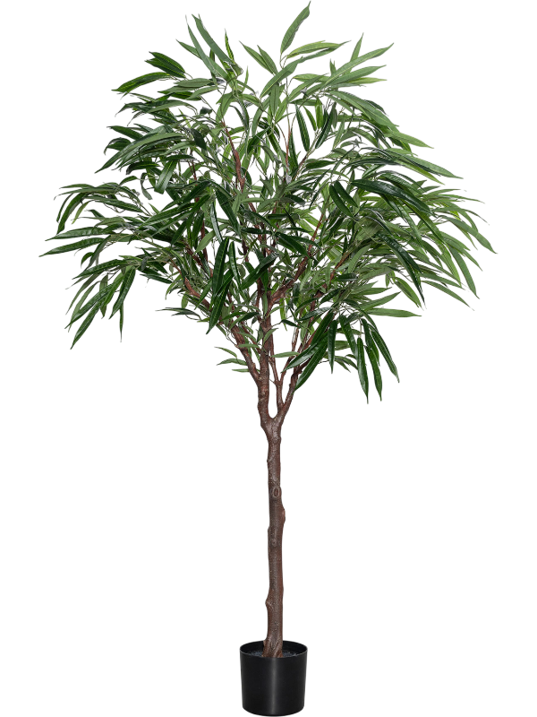 
                  
                    Ficus Alii artificiel, 180 cm, vert, référence 8PPZ10309
                  
                