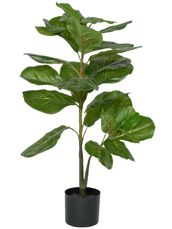 
                  
                    Ficus lyrata artificiel 100 cm — Pottery Pots — référence 8PPZ10050
                  
                