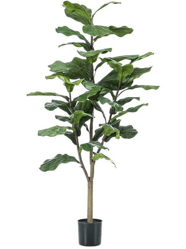
                  
                    Ficus lyrata artificiel 120 cm — Emerald Eternal Green — référence 8EE423970
                  
                