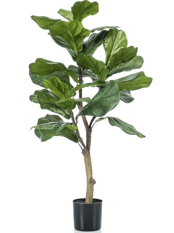 
                  
                    Ficus lyrata artificiel 90 cm — Emerald Eternal Green — référence 8EE423969
                  
                