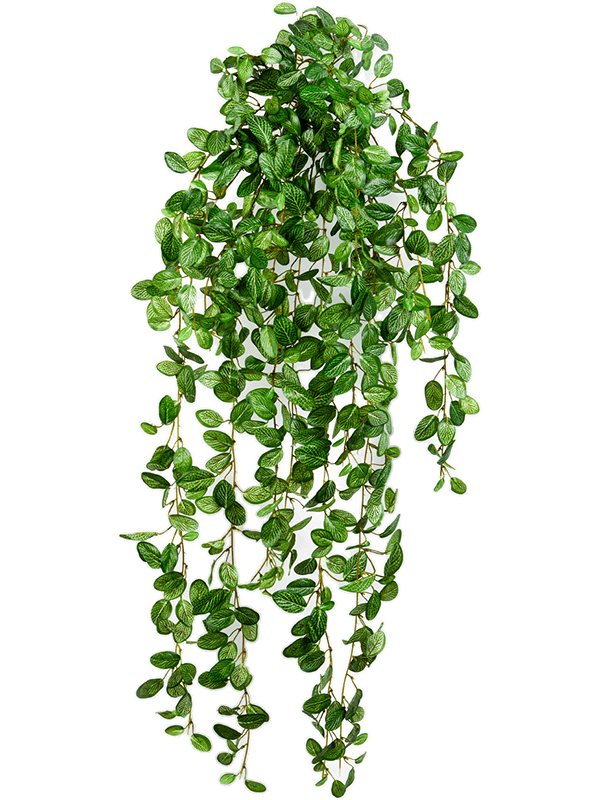 Fittonia Hanging Bush artificiel