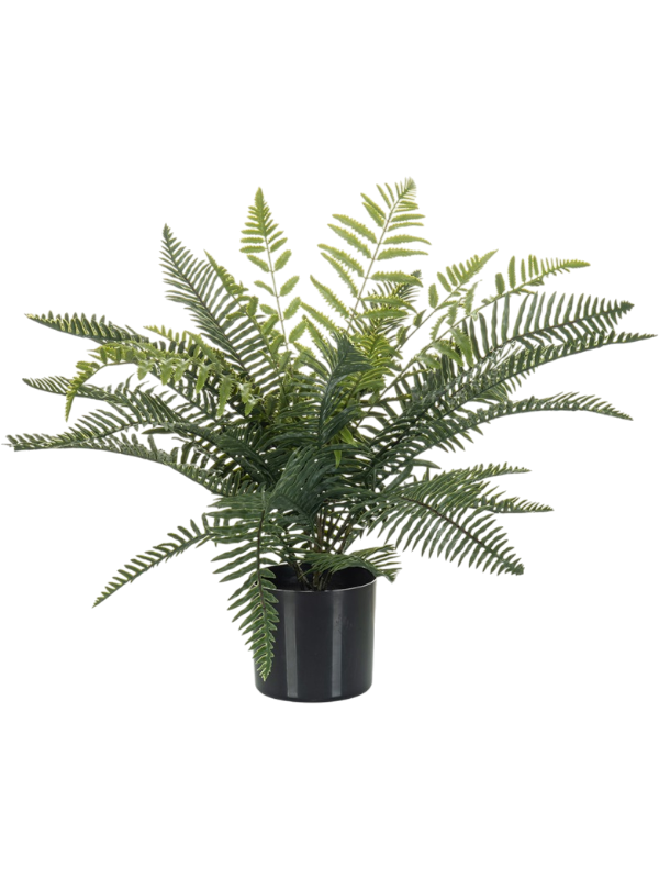Fougère artificielle Fern Mix en pot, frondes vertes découpées, hauteur et largeur 65 cm