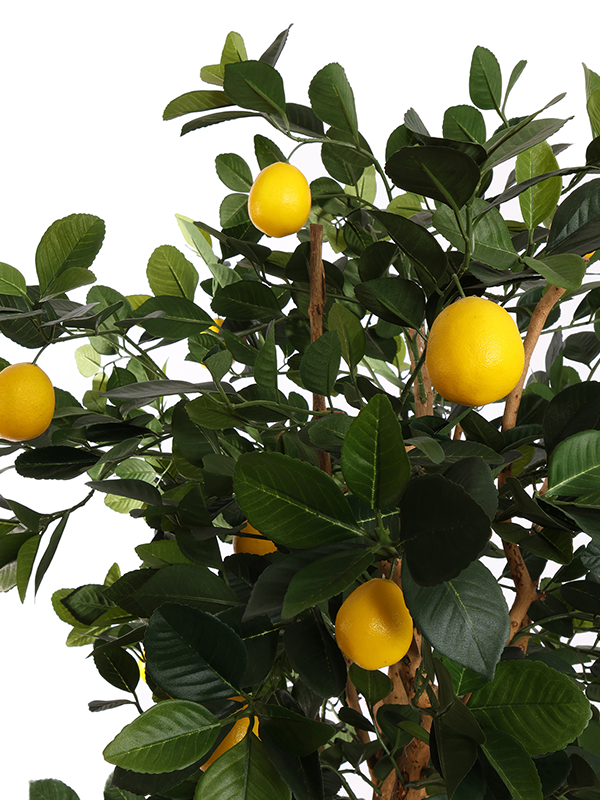 
                  
                    Détail des citrons jaunes et des feuilles du Golden Lemon artificiel — 8JA041YEL
                  
                