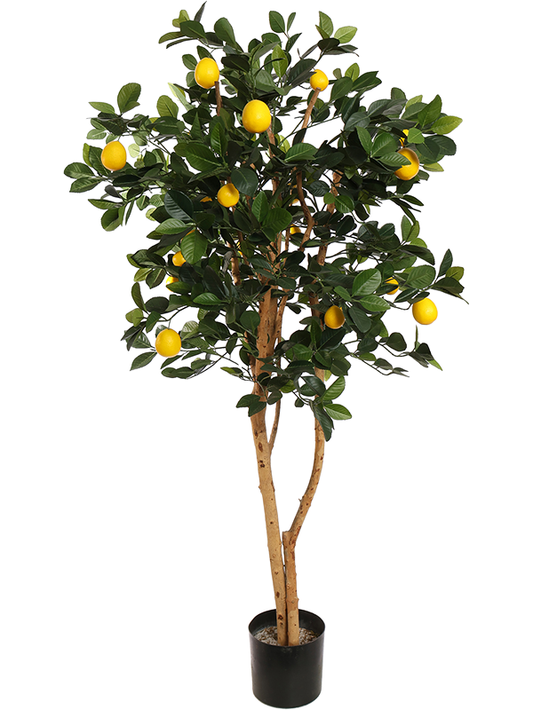 
                  
                    Golden Lemon artificiel, citronnier à fruits jaunes et tronc naturel — 8JA041YEL
                  
                