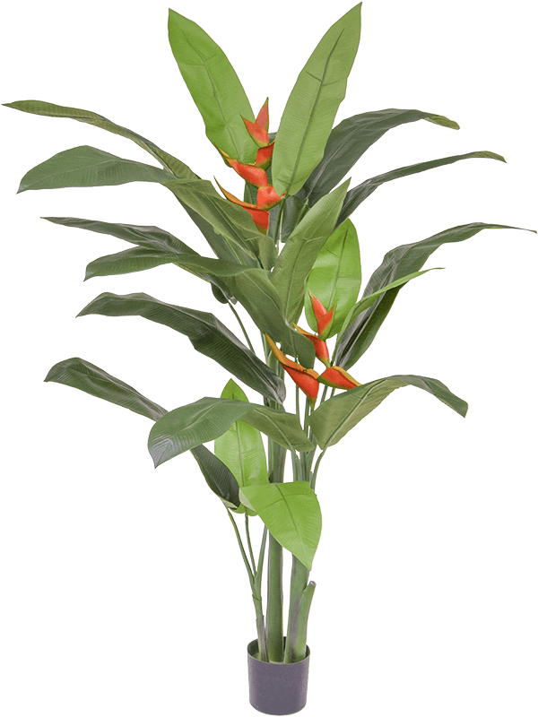 Heliconia Palm (FR) artificiel à grandes feuilles vertes et fleurs orange-rouge, dans son pot de base