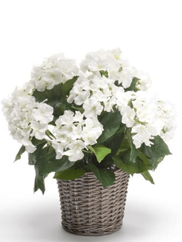 
                  
                    Hydrangea Buisson artificiel blanc, fleurs arrondies et feuillage vert dans son pot décoratif à aspect tressé
                  
                