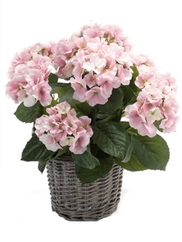 
                  
                    Hydrangea Buisson artificiel rose, bouquets floraux roses et feuilles vertes avec pot décoratif inclus
                  
                