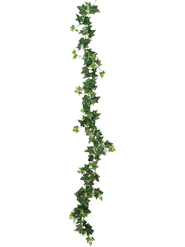 
                  
                    Ivy Guirlande artificielle verte, à feuilles de lierre lobées et nervurées, référence 8FW01139N
                  
                