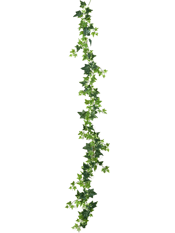 
                  
                    Ivy Guirlande artificielle vert panaché, feuilles de lierre bordées de crème, référence 8FW01139V
                  
                