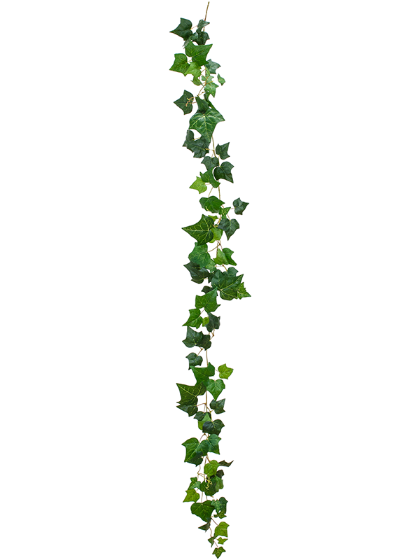 
                  
                    Ivy Guirlande artificielle verte ignifugée FR, feuillage de lierre en retombée, référence 8TRLC4532
                  
                