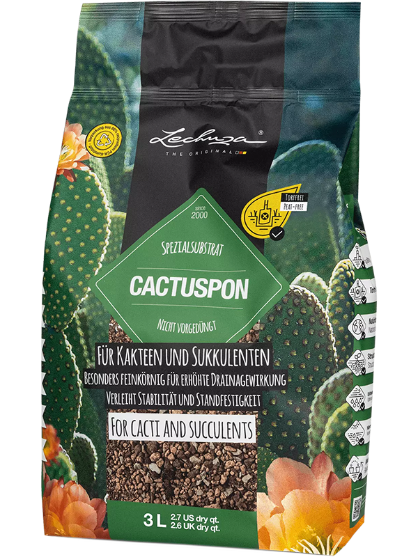 Lechuza Cactus Pon, sac de 3 litres pour cactus et succulentes