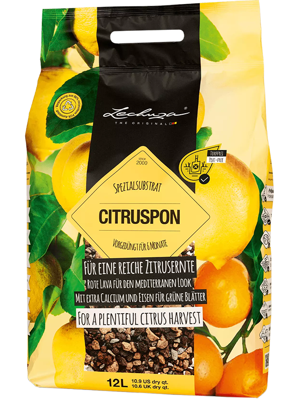 
                  
                    Lechuza Citrus Pon, substrat sans tourbe pour agrumes en sac de 12 litres
                  
                