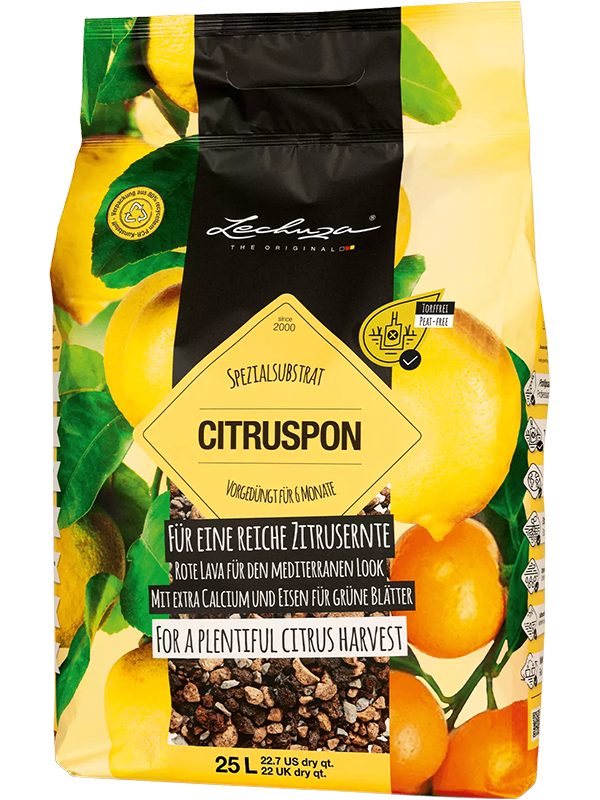 
                  
                    Lechuza Citrus Pon, substrat sans tourbe pour agrumes en sac de 25 litres
                  
                