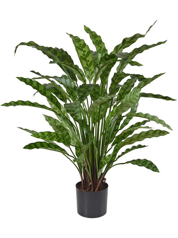 Calathea Leopardina artificielle en touffe, feuilles vertes tachetées et pot de base noir