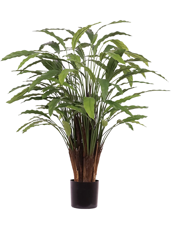 Calathea Leopardina artificielle sur tiges, feuillage étroit ondulé et axes apparents