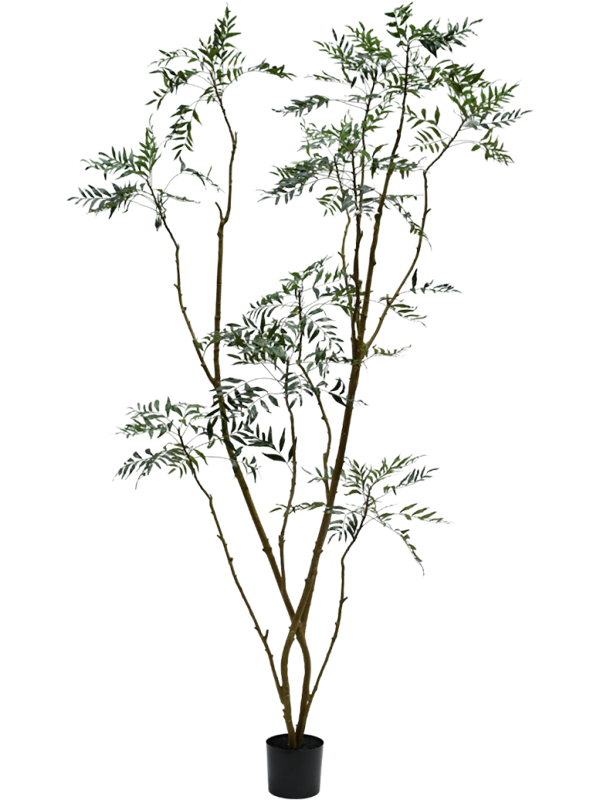 Mahonia artificiel Silk-ka de 240 cm, tiges ramifiées et feuillage vert découpé, avec pot de base