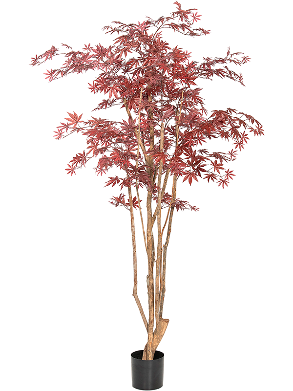 Maple Wild artificiel rouge, feuillage découpé et troncs naturels, hauteur 180 cm
