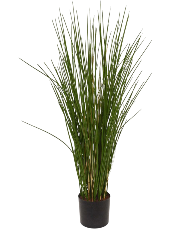 
                  
                    Grass UV artificiel, format de hauteur 83 cm, brins verts dressés dans un pot de base noir
                  
                
