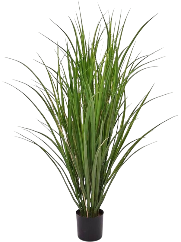 Reed Grass Deluxe UV artificiel, touffe de feuilles vertes longues et arquées dans son pot de base noir