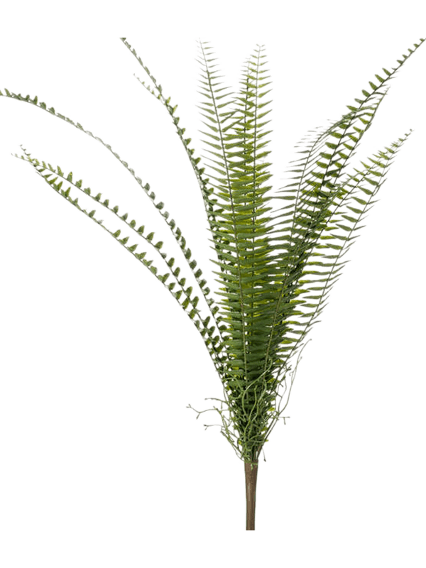 Fern Nephrolepis Touffe artificiel, faisceau de frondes vertes dressées sur tige, sans pot