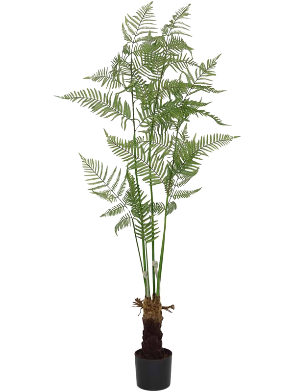 Fern M Touffe artificiel, frondes fines sur tiges élancées, base brune texturée et pot de base noir