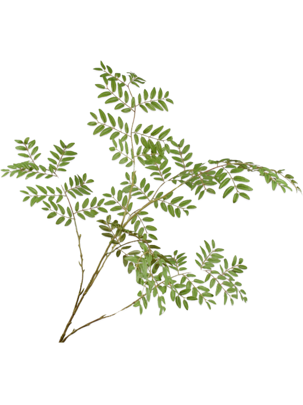 
                  
                    Branche feuillue artificielle vert olive ignifugée Silk-ka 144 cm — Longueur: 144 cm — 8SK149451
                  
                