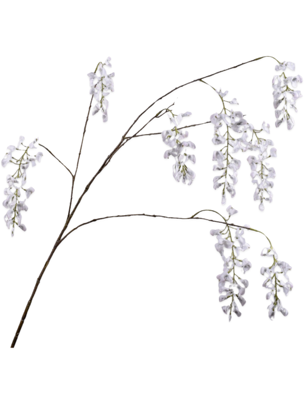 
                  
                    Glycine artificielle Longueur 130 cm — Ramure brune fine et oblique, ramifications arquées très ouvertes portant plusieurs grappes pendantes blanc crème très pâle, petits pédicelles verts, sans feuillage développé ni pot.
                  
                