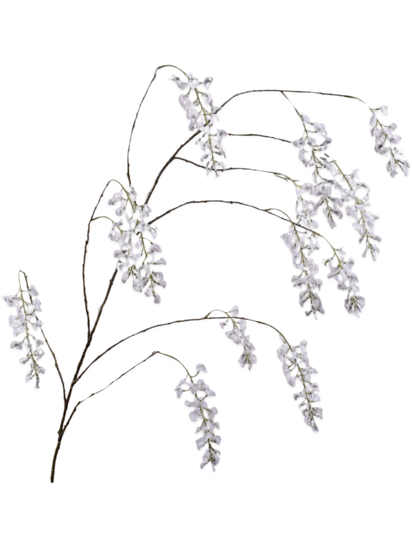 
                  
                    Glycine artificielle Longueur 176 cm — Longue ramure brune fine à nombreux axes arqués très ouverts, grappes pendantes blanc crème très pâle, sans feuillage développé ni pot.
                  
                