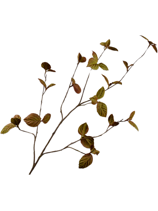 
                  
                    Branche feuillue artificielle brun cuivré et vert olive ignifugée Silk-ka — Longueur: 116 cm — 8SK154607
                  
                