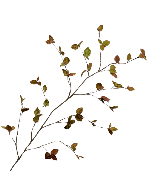 
                  
                    Branche feuillue artificielle brun cuivré et vert olive ignifugée Silk-ka — Longueur: 163 cm — 8SK154608
                  
                