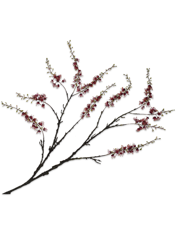 
                  
                    Branche de Capparis artificielle bordeaux ramifiée Silk-ka 185 cm — Grande ramure sombre, fleurs bordeaux et petites feuilles vertes.
                  
                
