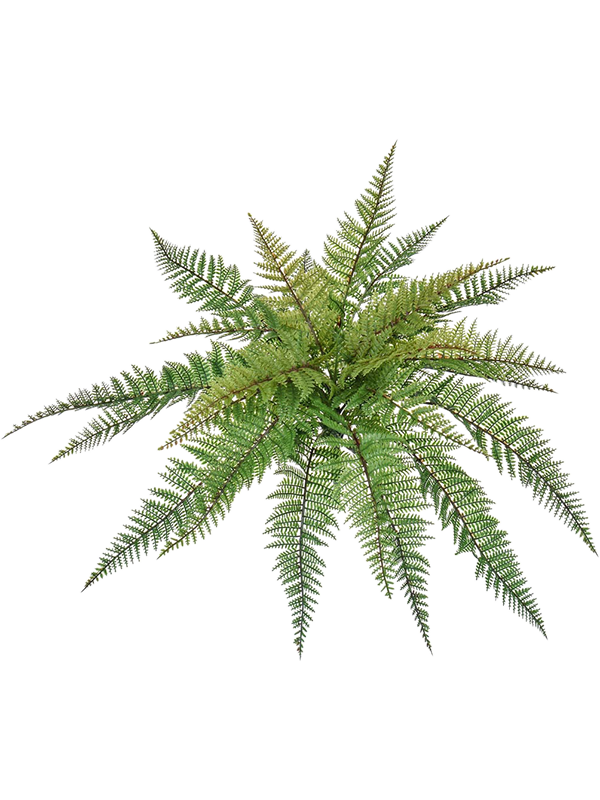 Leather Fern Bush (FR) artificiel, fougère ignifugée aux frondes fines, hauteur 48 cm