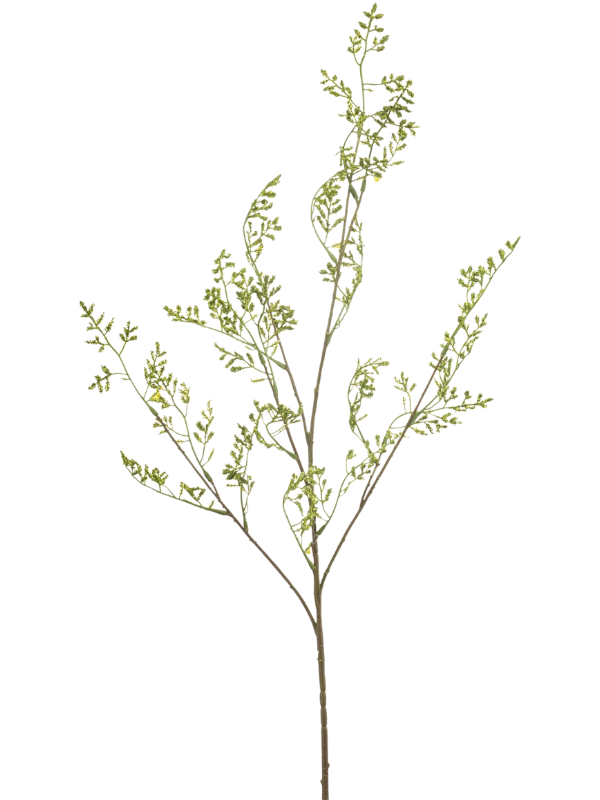 
                  
                    Achillée artificielle verte de 100 cm, tige fine ramifiée, sans vase
                  
                